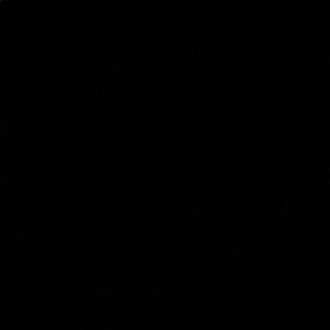 Meet your Posher, Devin